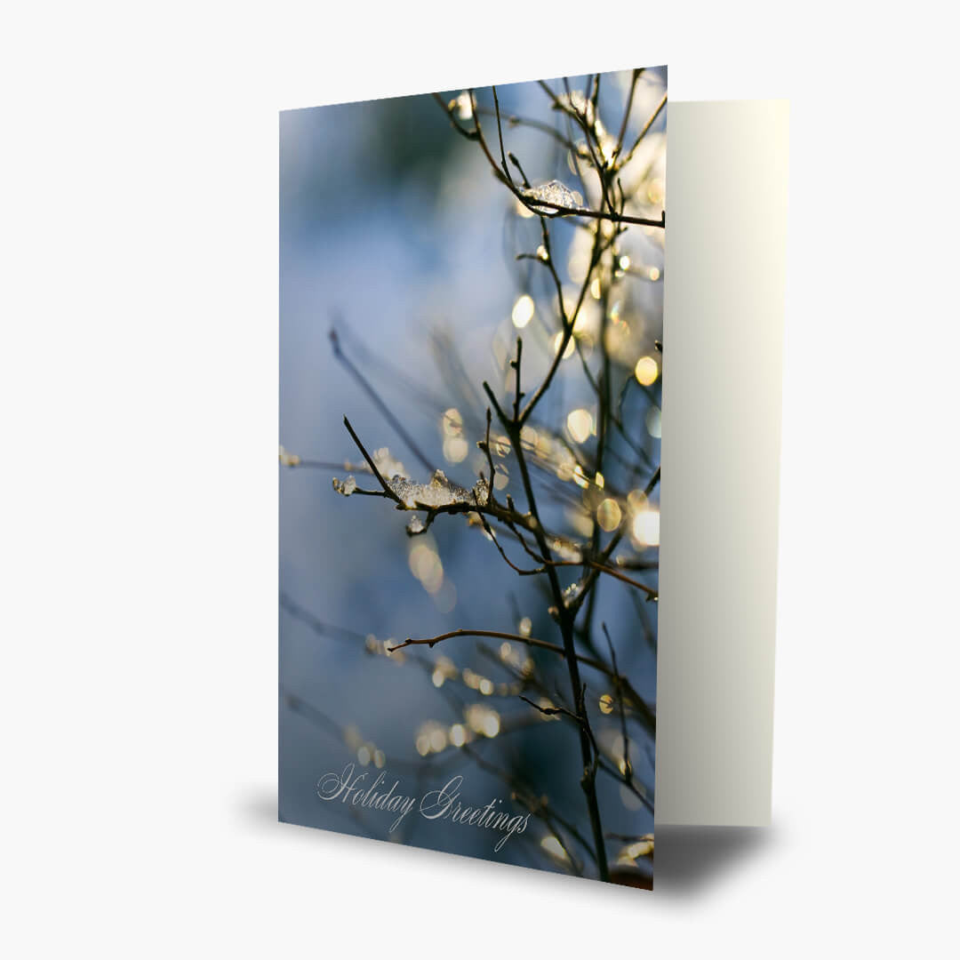 Sparkling Branch