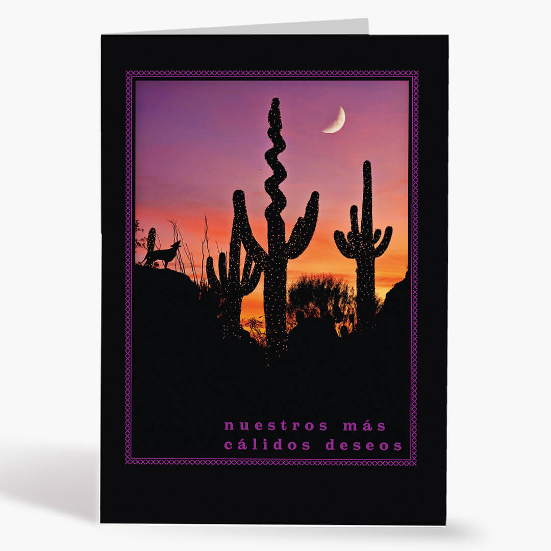 Desert Silhouette