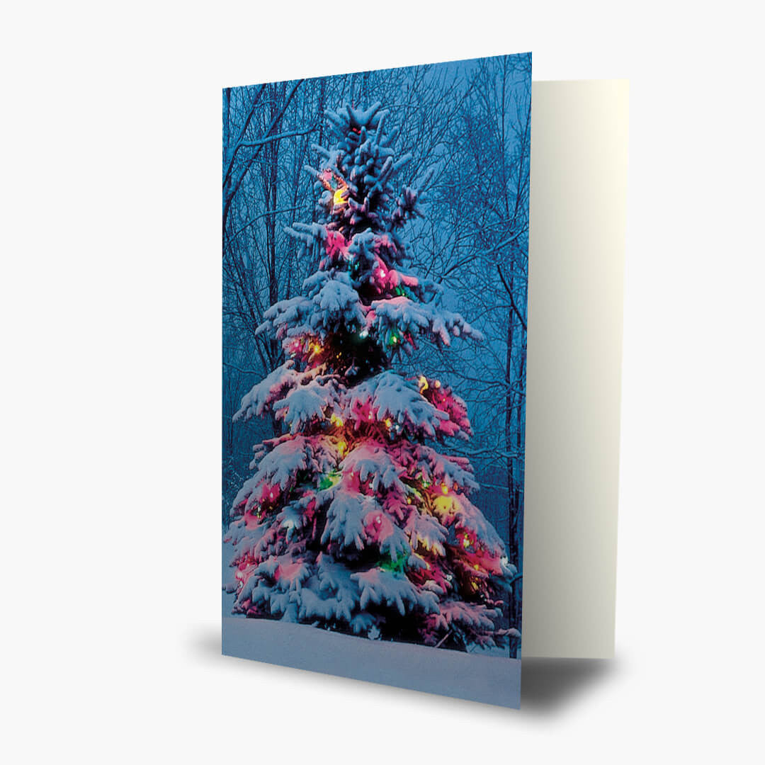 Lit Tree