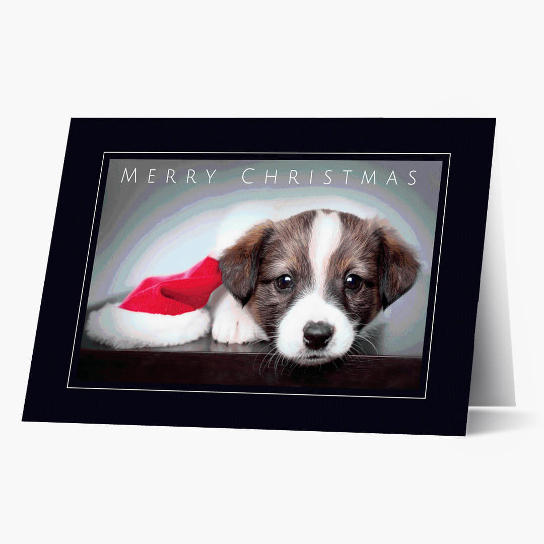 Holiday Puppy