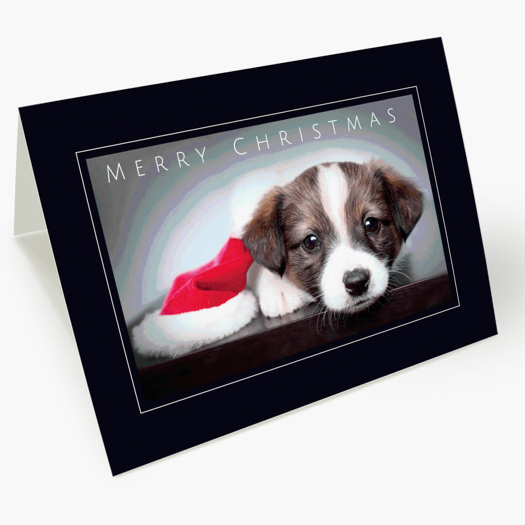 Holiday Puppy