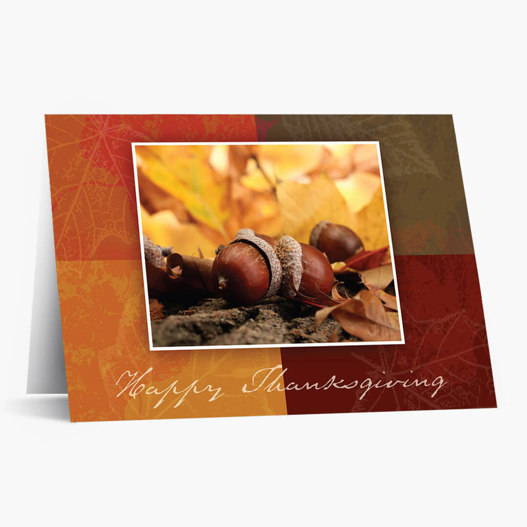 Autumn Acorns Thanksgiving Card