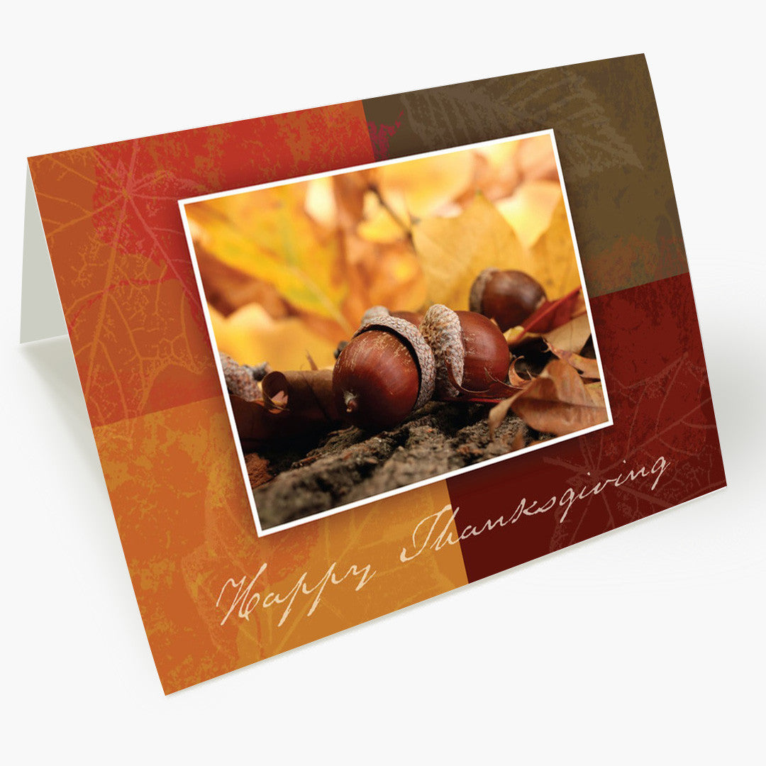 Autumn Acorns Thanksgiving Card