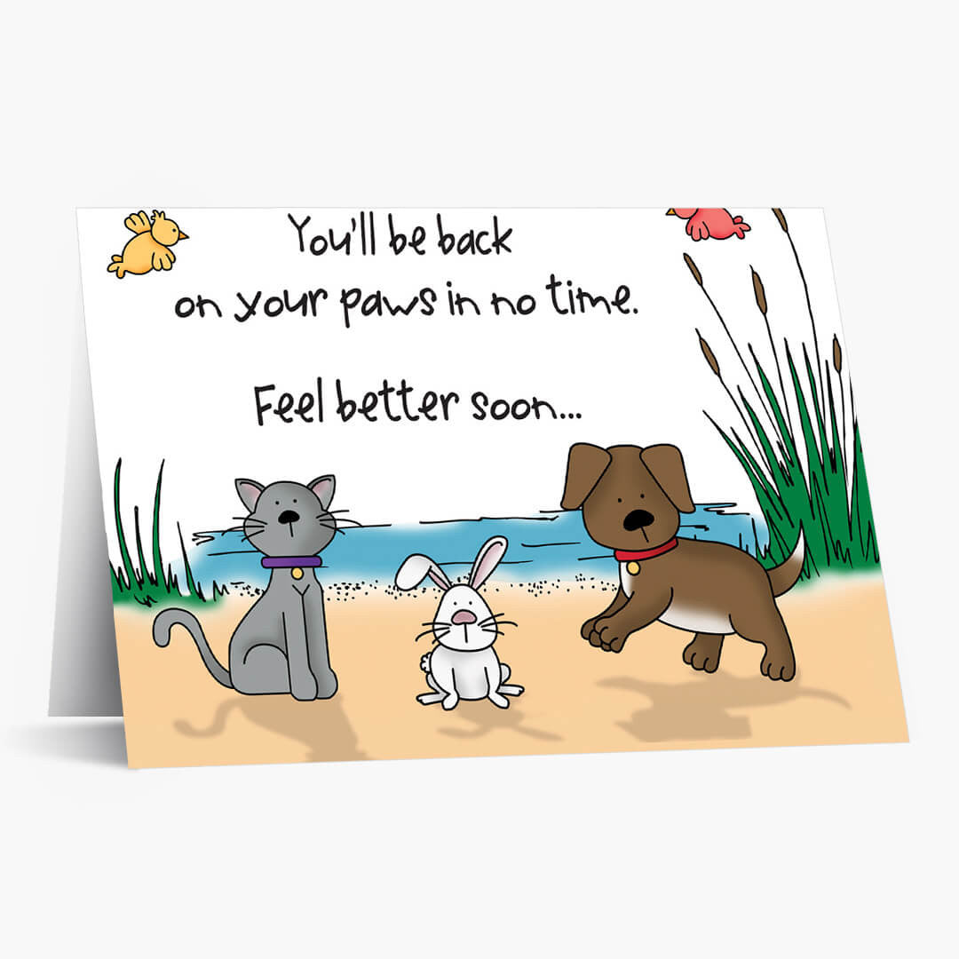 Brighter Days Pet Get Well Card