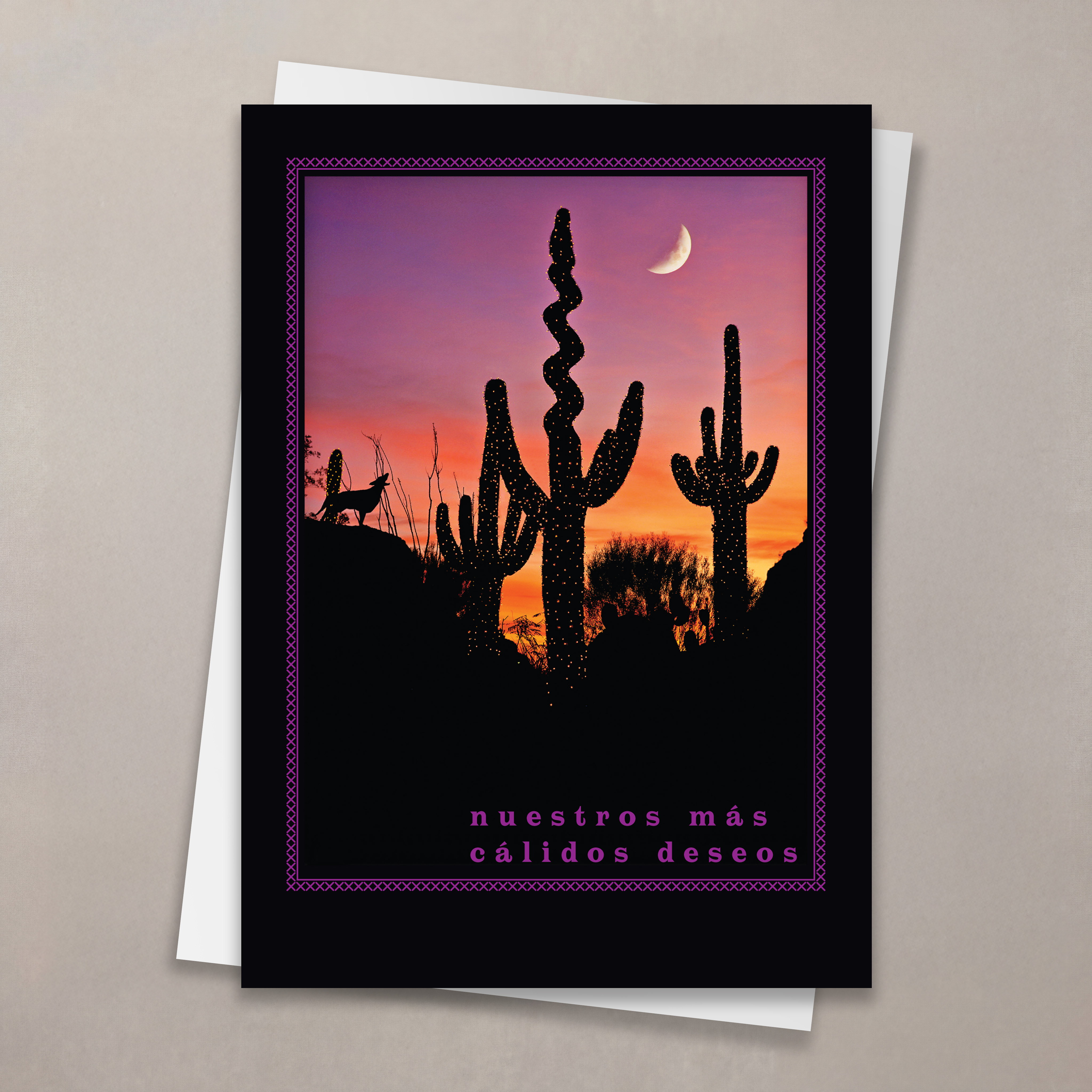 Desert Silhouette