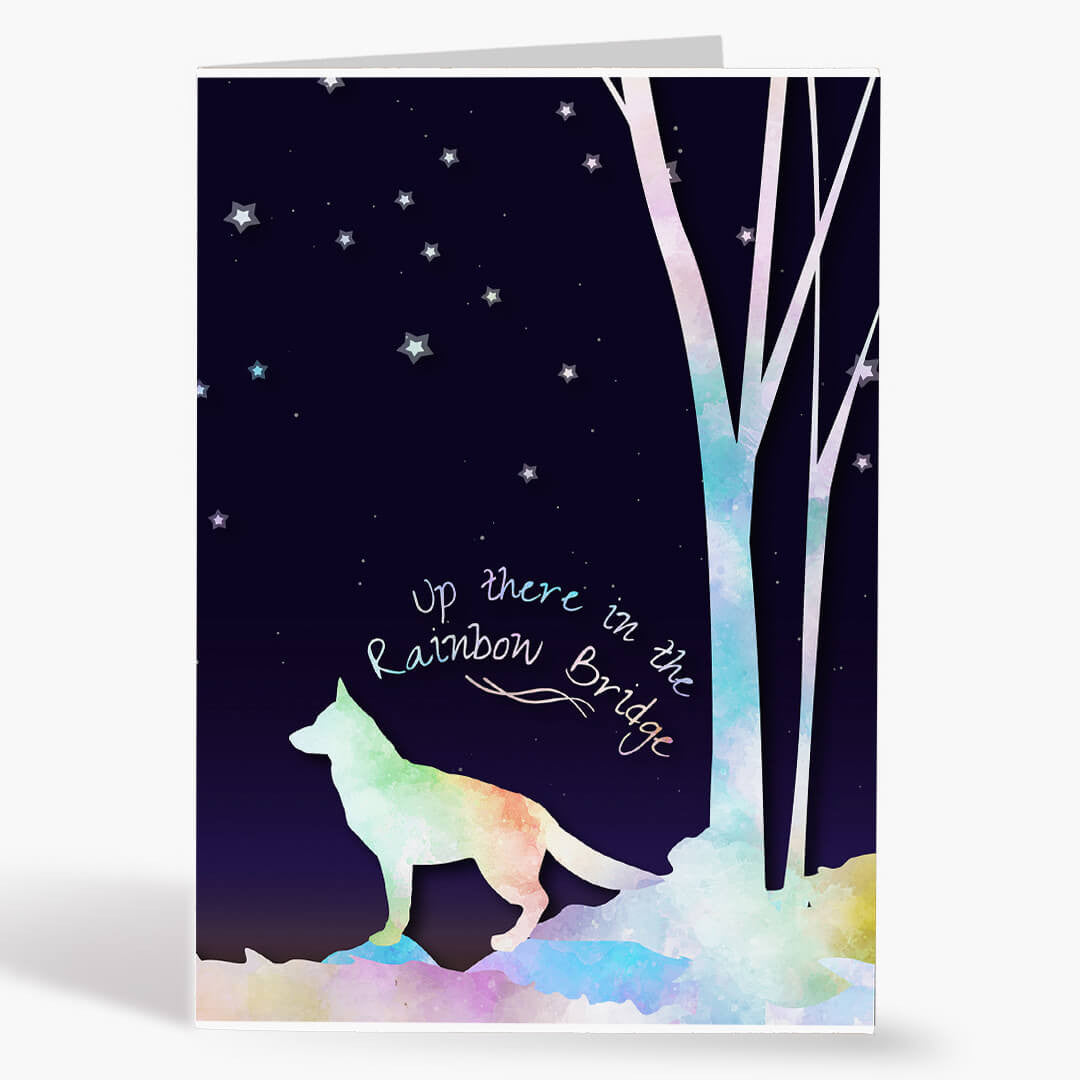 Dog in the Rainbow Bridge