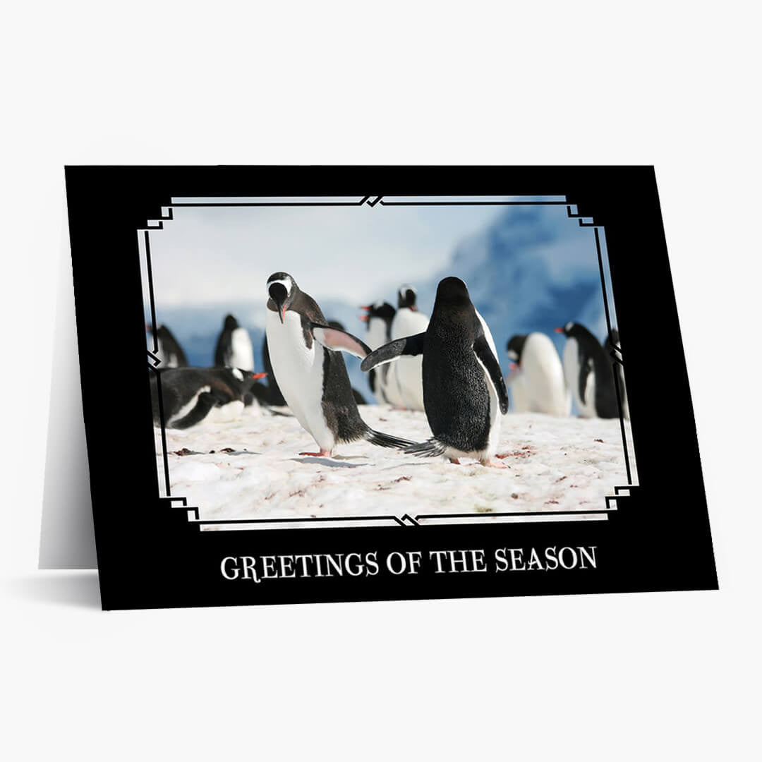 Friendly Flipper Greetings Holiday Card