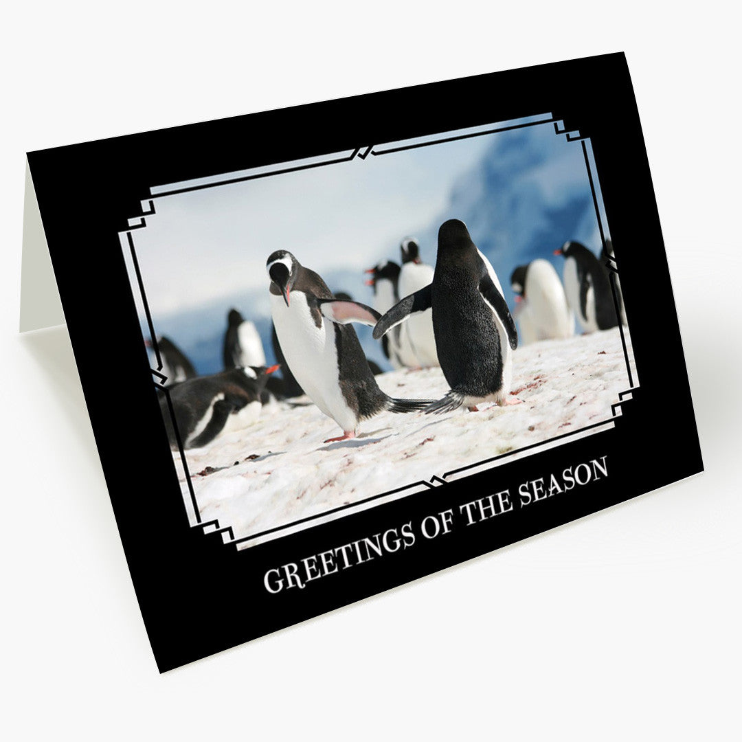 Friendly Flipper Greetings Holiday Card