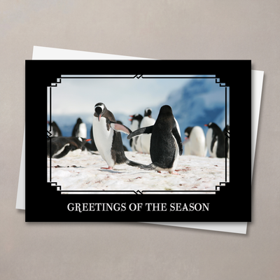 Friendly Flipper Greetings Holiday Card