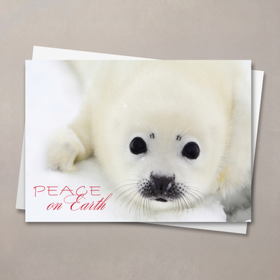 Friendly Tidings