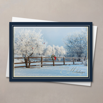 Frozen Morning
