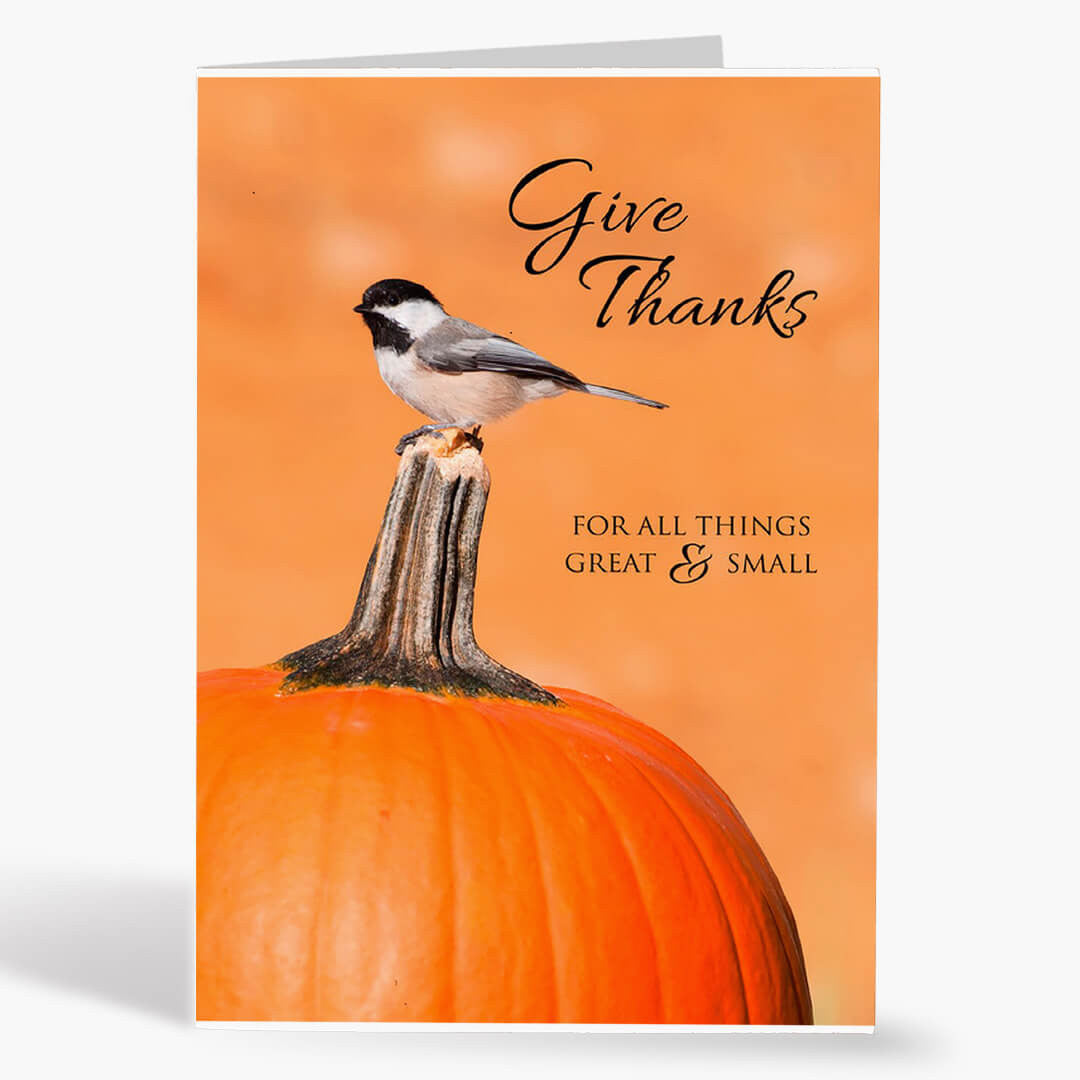 Great and Small Thanksgiving Card