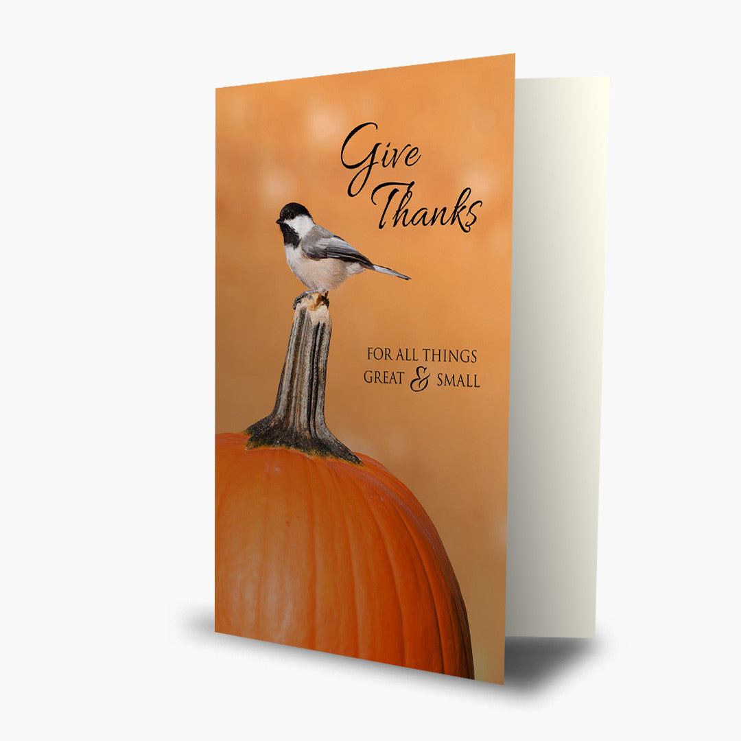 Great and Small Thanksgiving Card