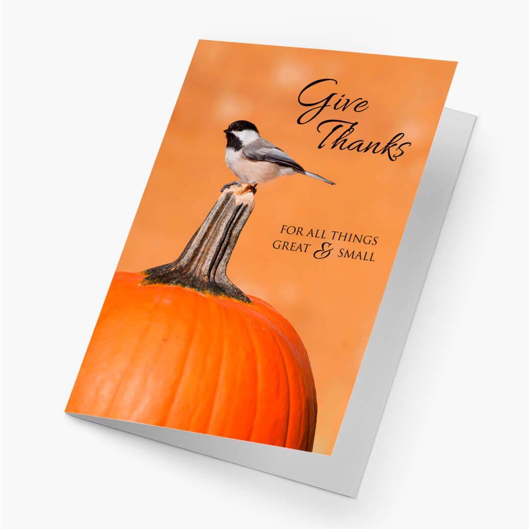 Great and Small Thanksgiving Card