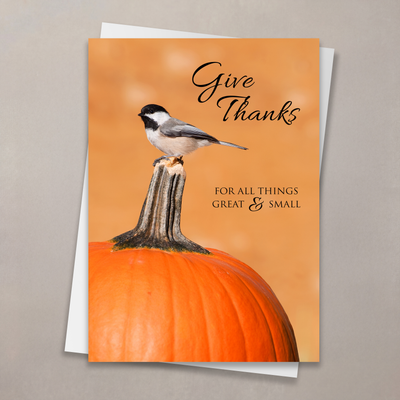 Great and Small Thanksgiving Card