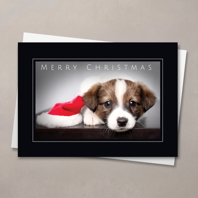 Holiday Puppy