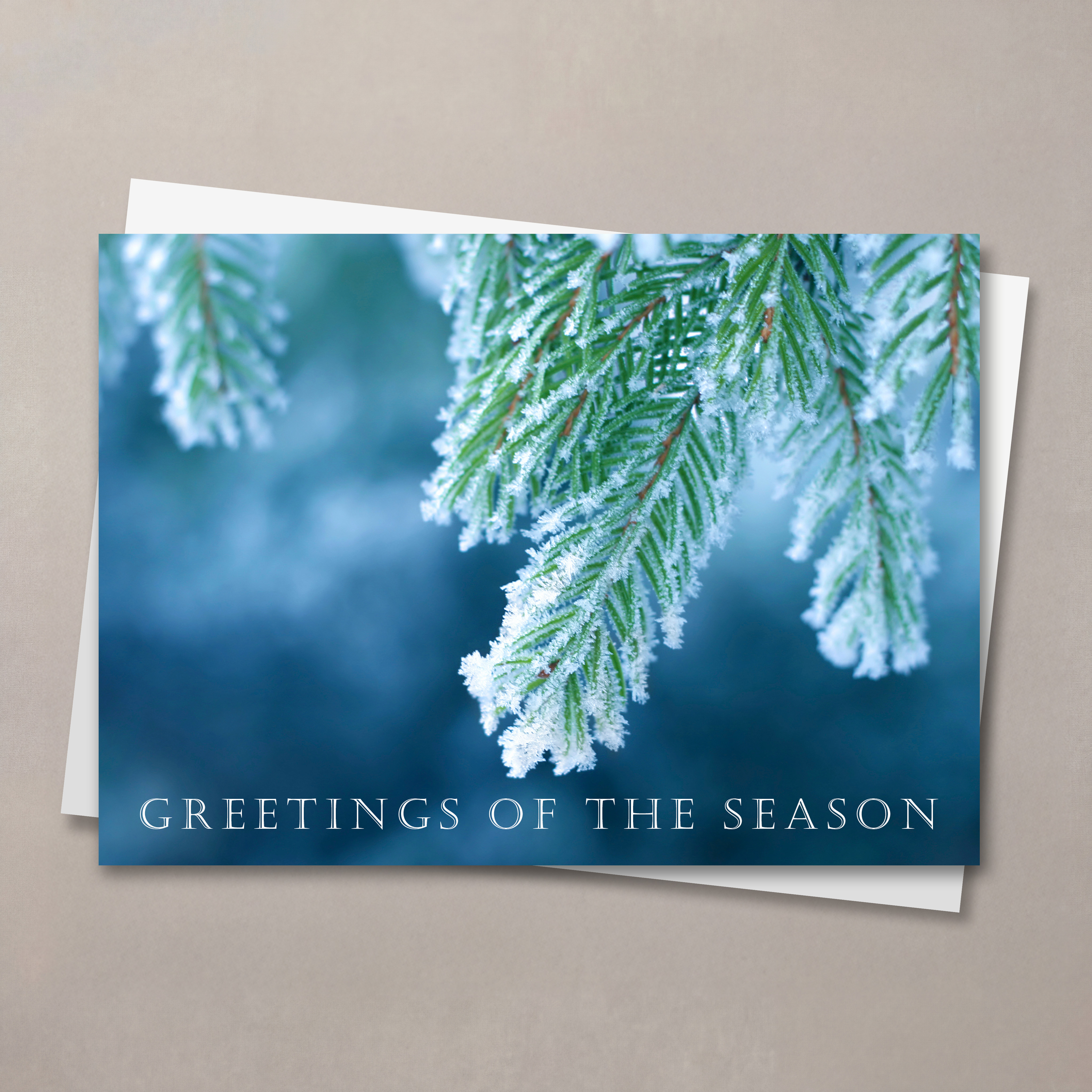 Iced Evergreens