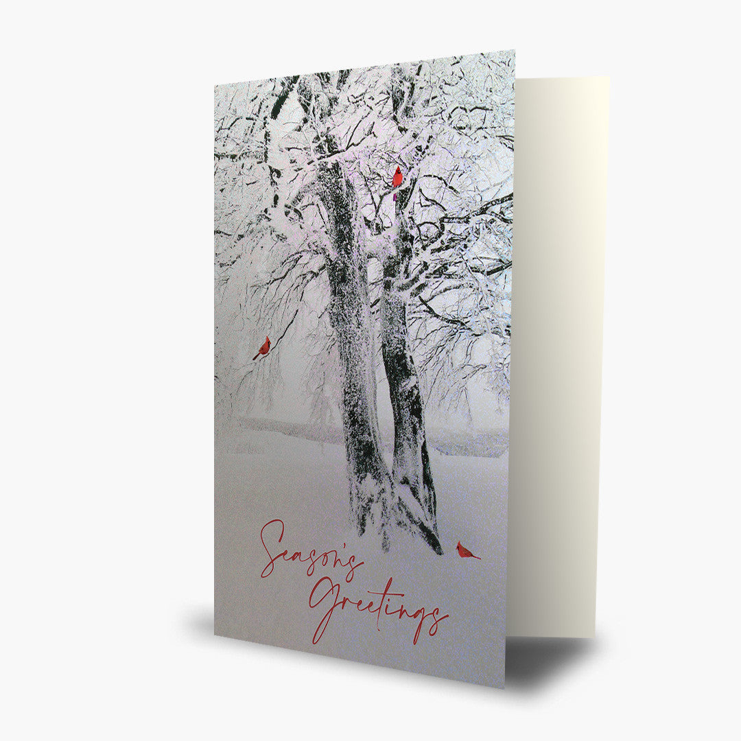 Winter Stillness