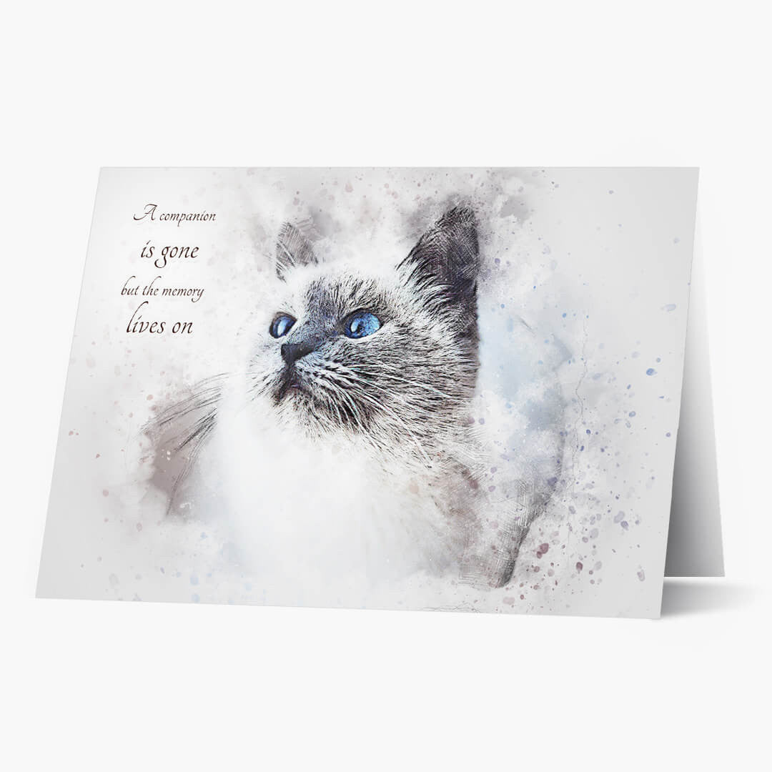 Memory Lives On Cat Pet Sympathy Card