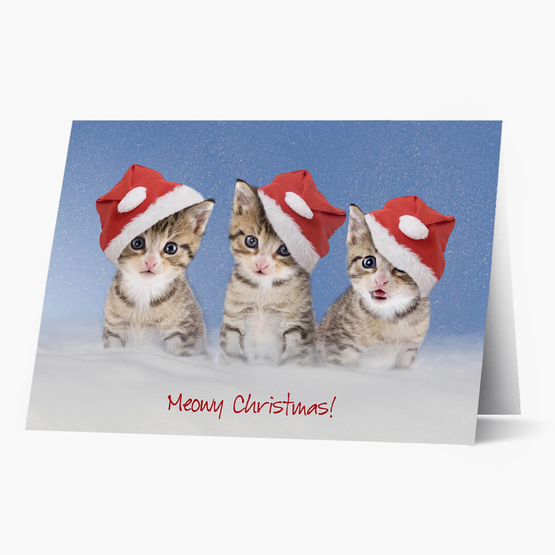 Meowy Christmas Card