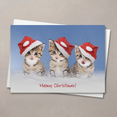 Meowy Christmas Card