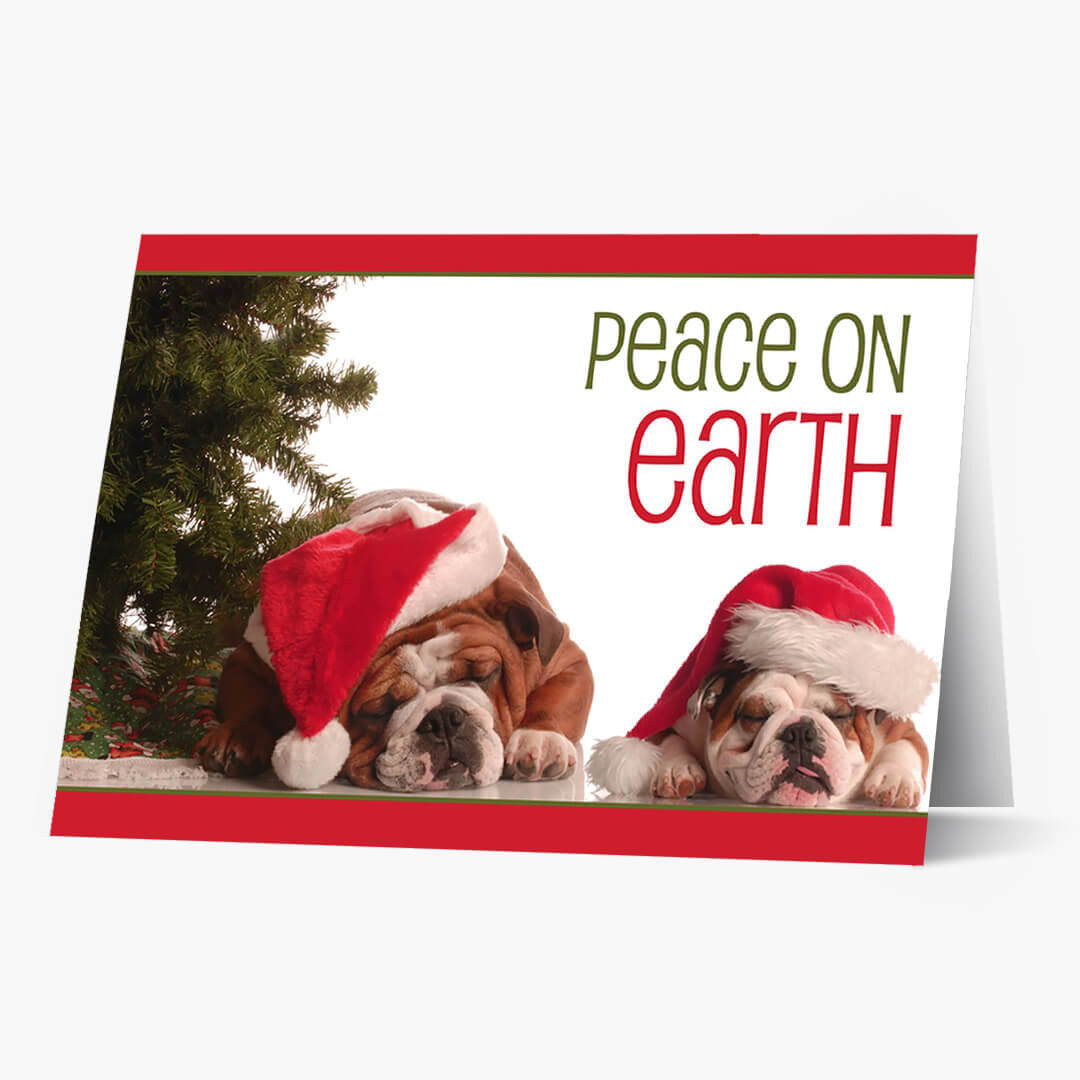 Peaceful Bulldogs Christmas Card