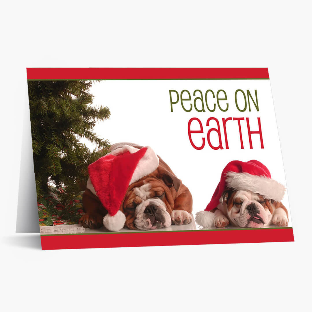 Peaceful Bulldogs Christmas Card