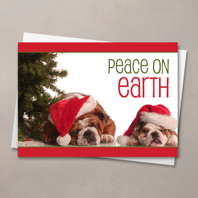 Peaceful Bulldogs Christmas Card