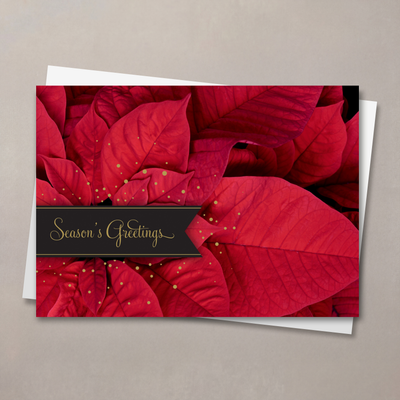 Picturesque Poinsettia