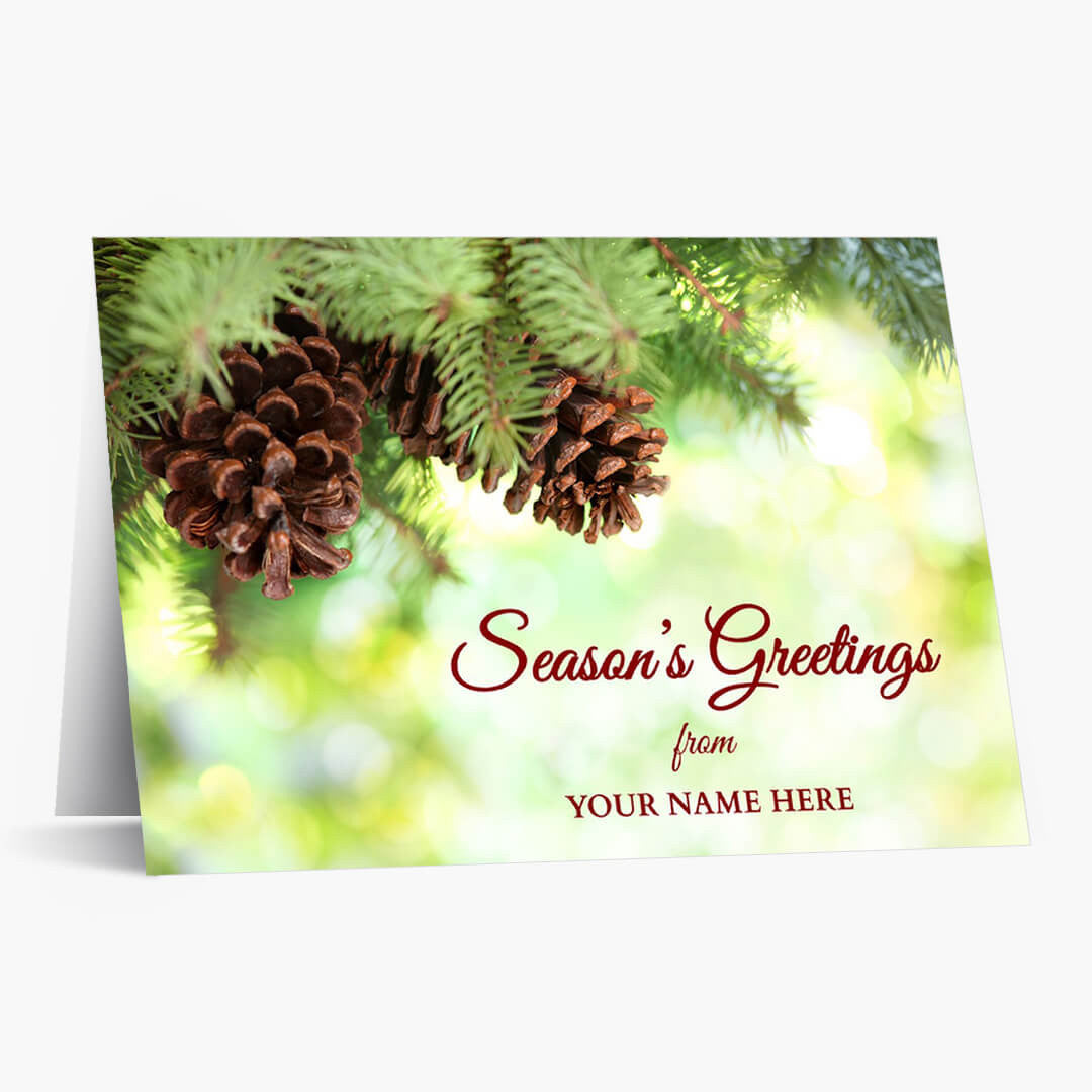 Pine Cone Greetings Holiday Card