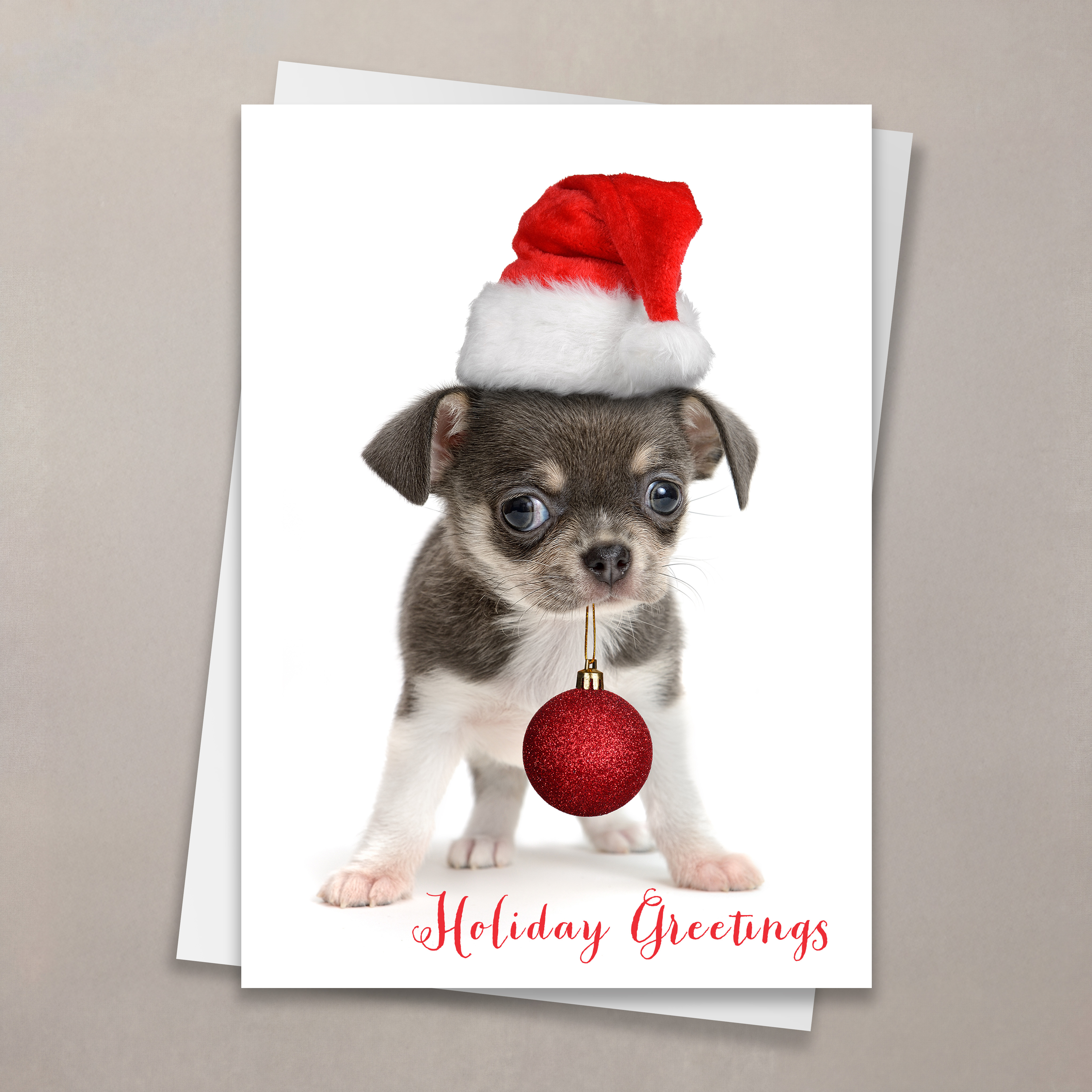Puppy Greetings Christmas Card