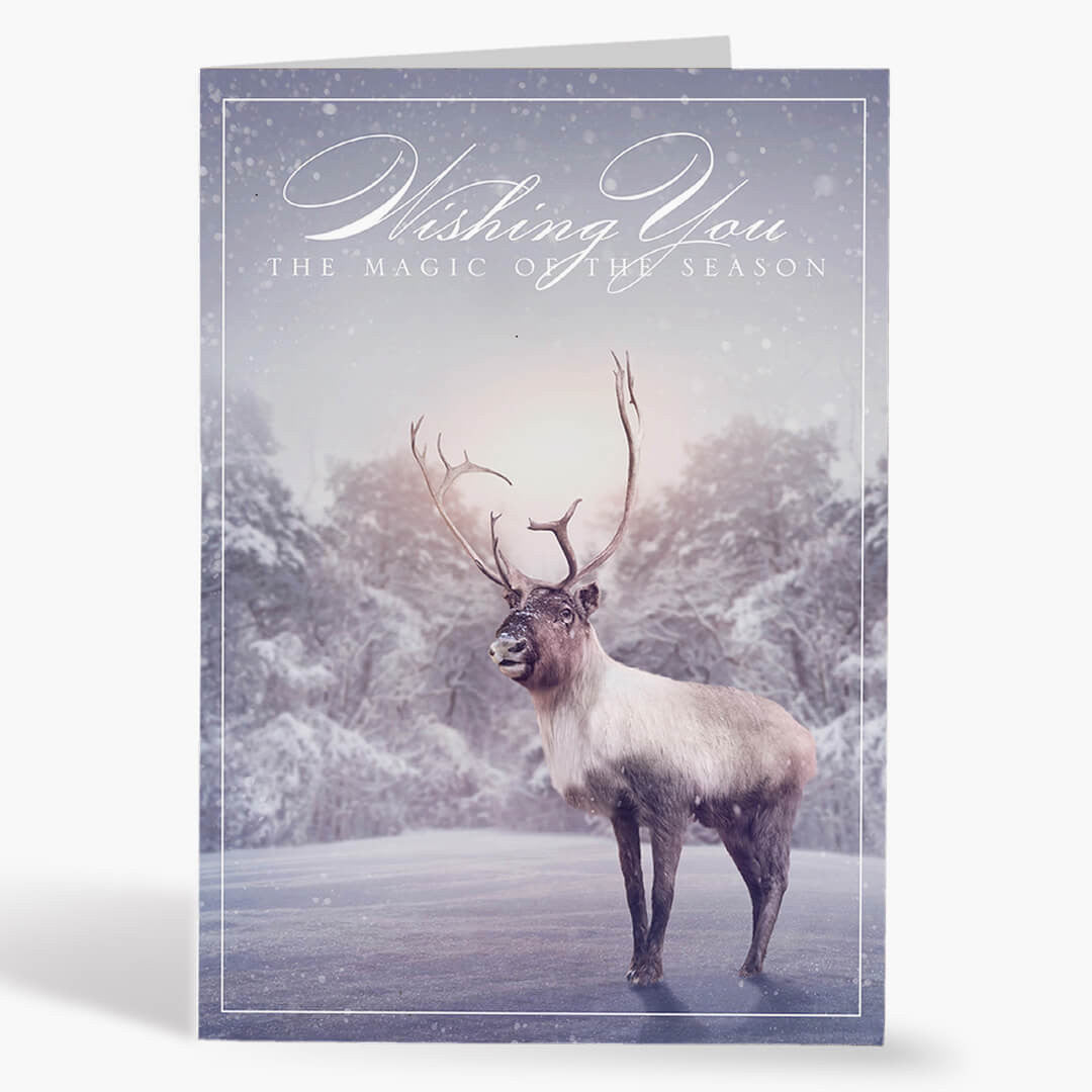 Reindeer Magic