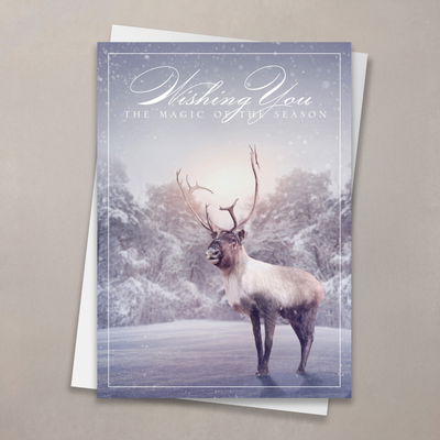 Reindeer Magic