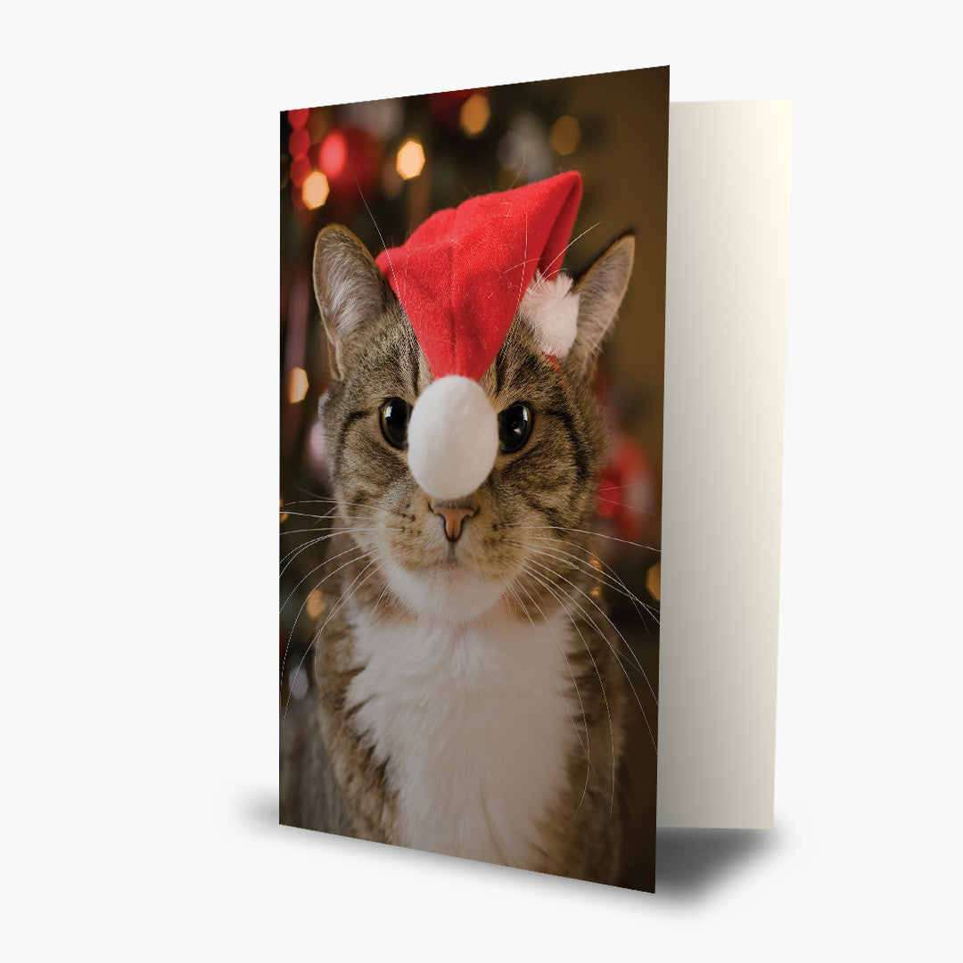 Santa Kitty Holiday Card