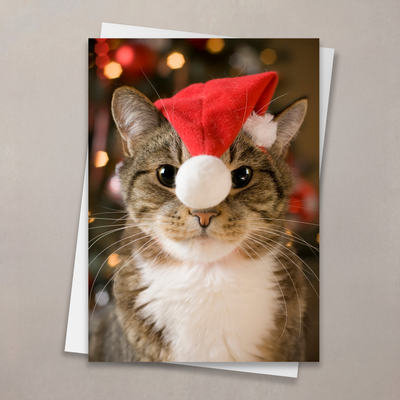 Santa Kitty Holiday Card