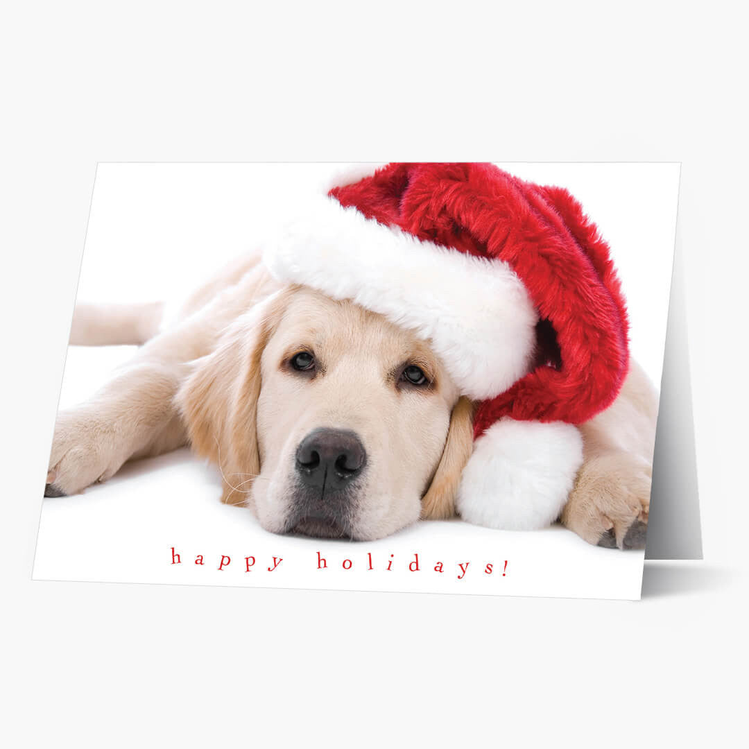Santa Puppy Holiday Card
