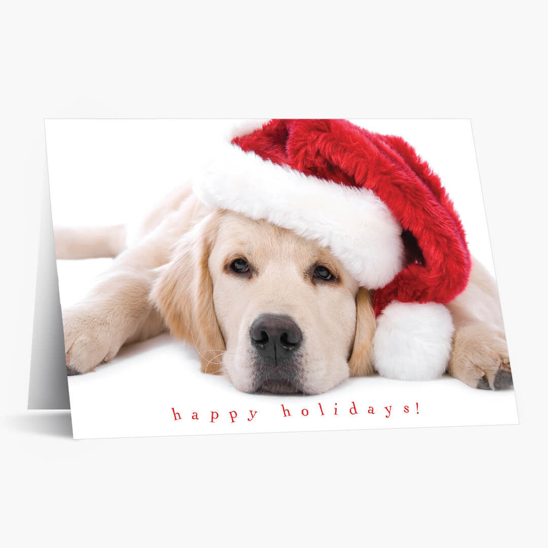 Santa Puppy Holiday Card