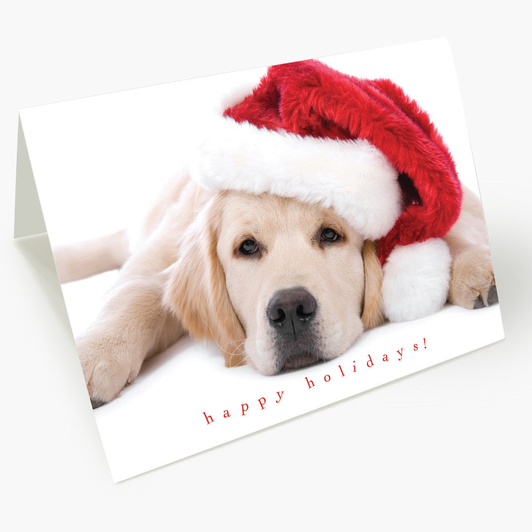 Santa Puppy Holiday Card