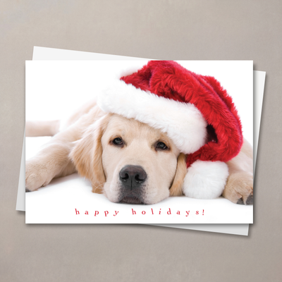 Santa Puppy Holiday Card
