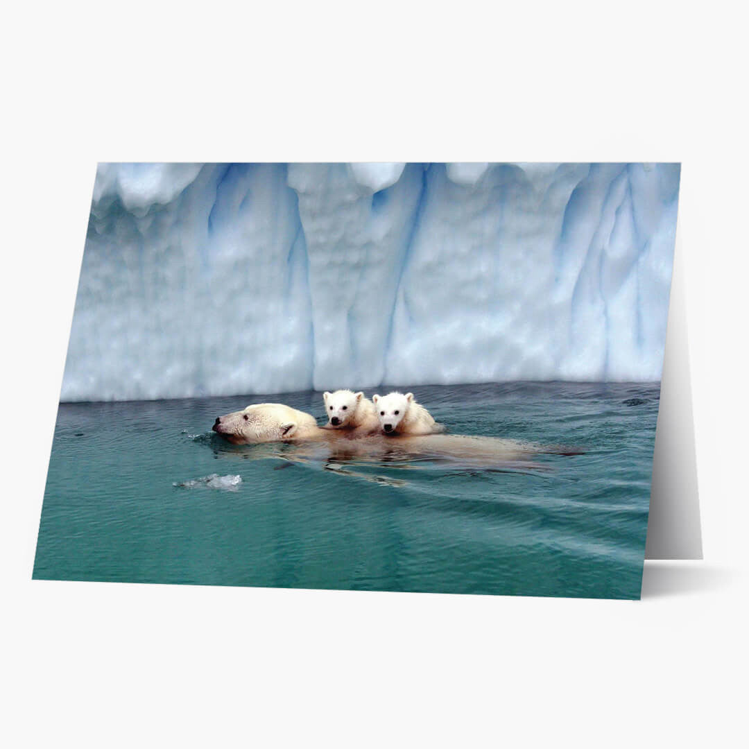 Soothing Swim Christmas Card