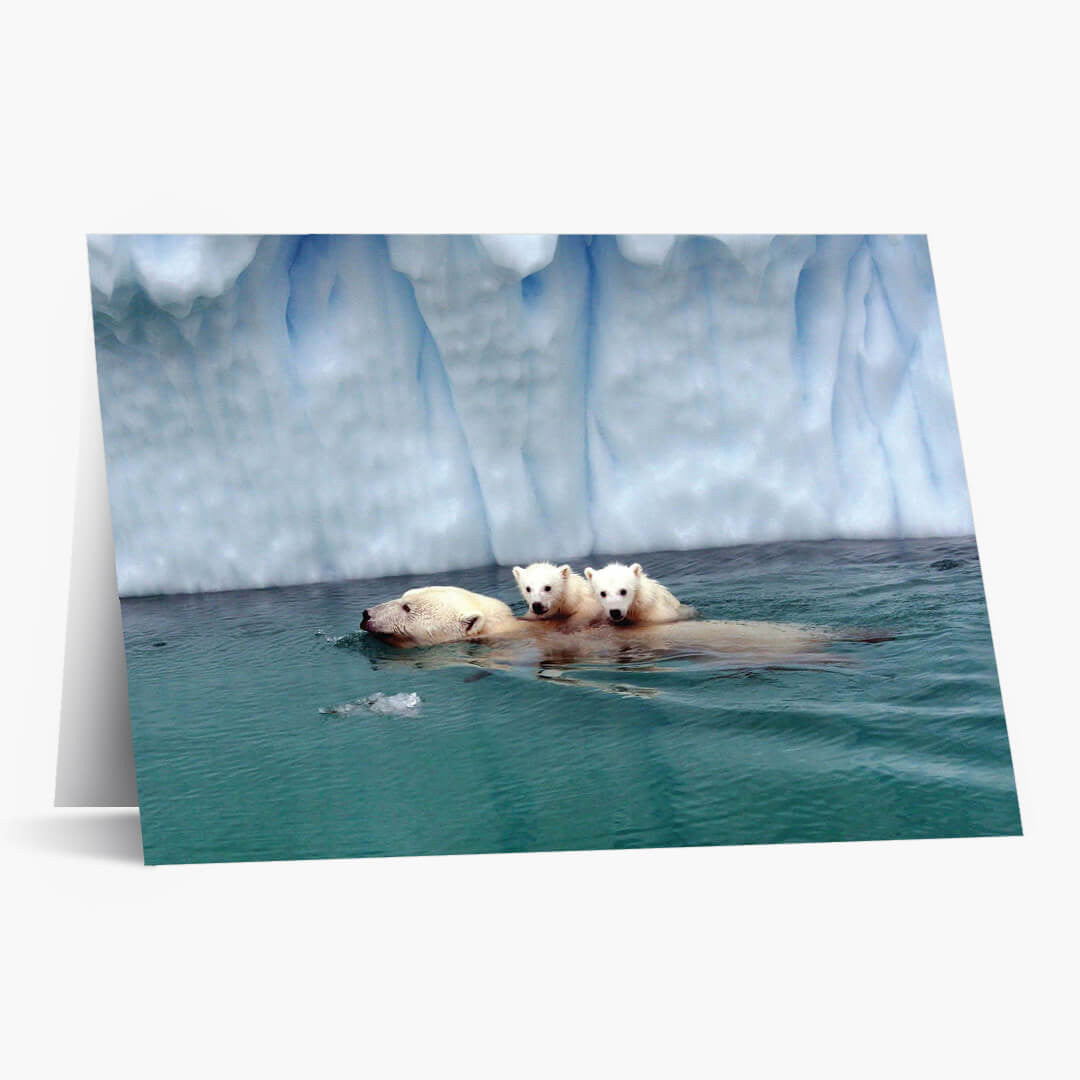 Soothing Swim Christmas Card