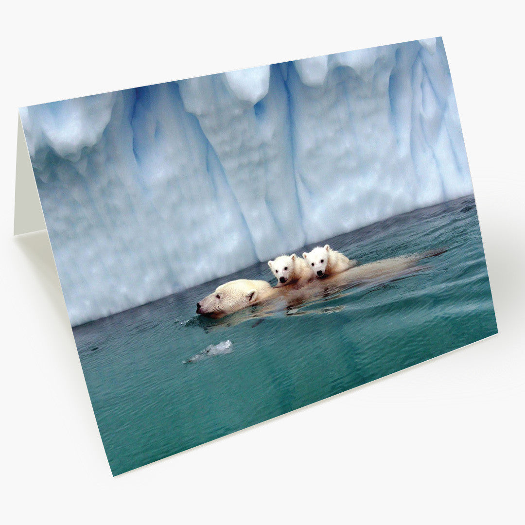 Soothing Swim Christmas Card
