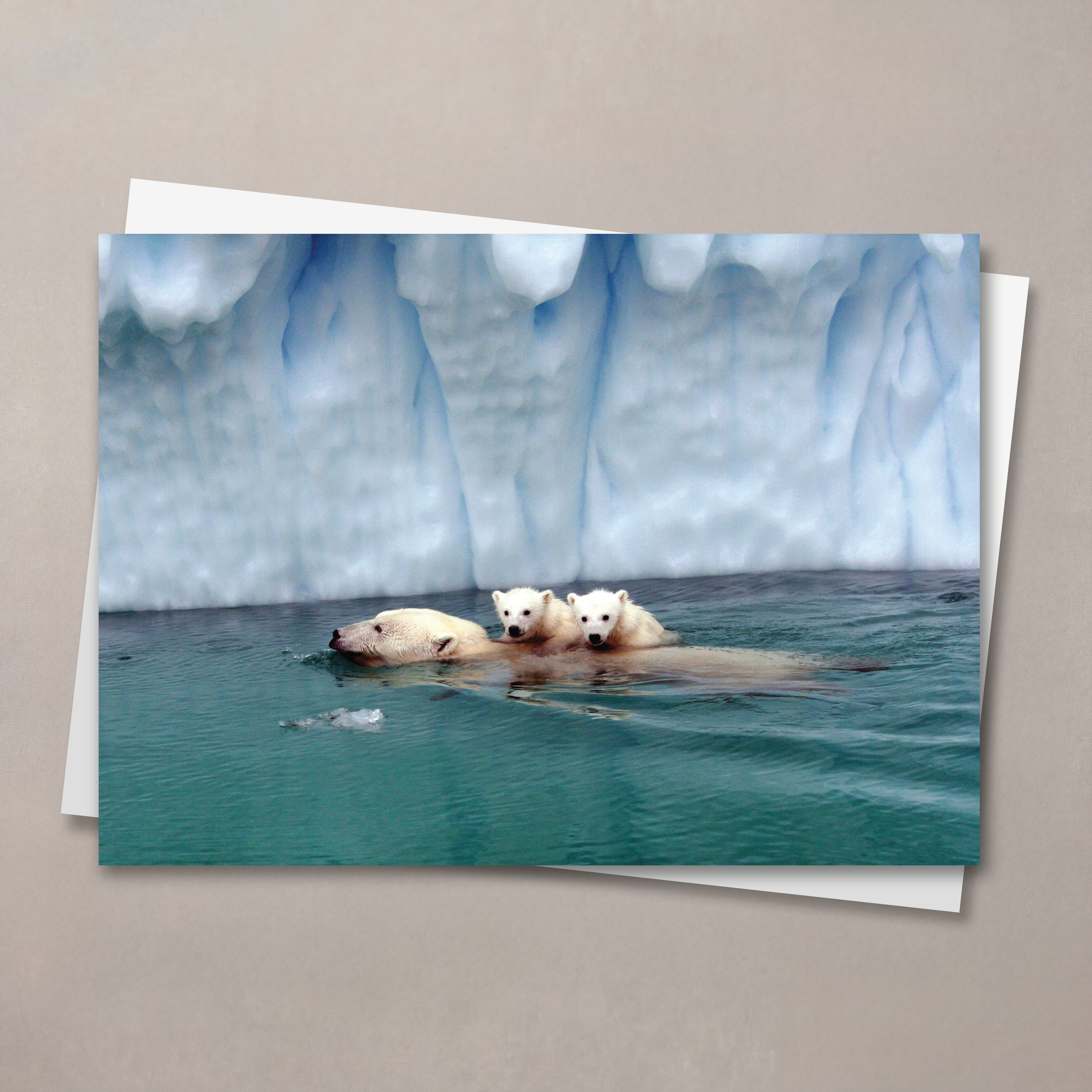 Soothing Swim Christmas Card