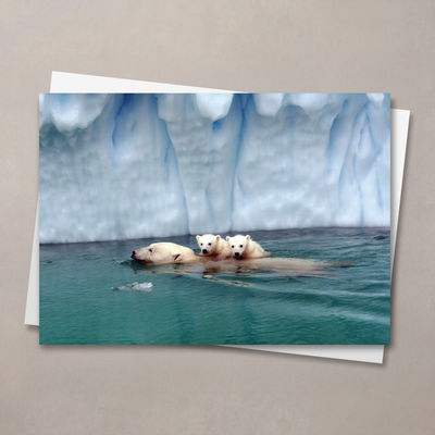Soothing Swim Christmas Card