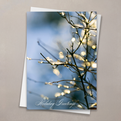 Sparkling Branch