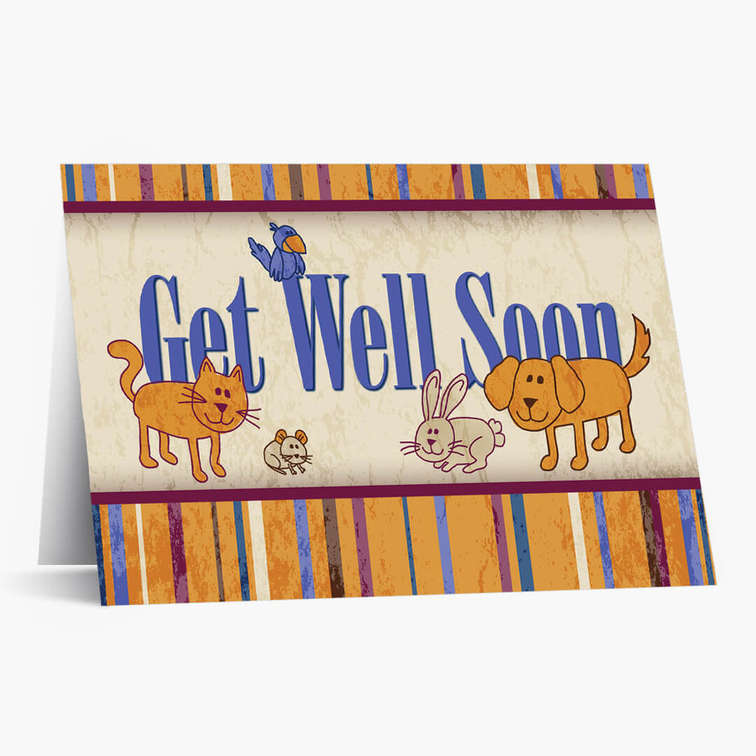 Striped Pet Get Well