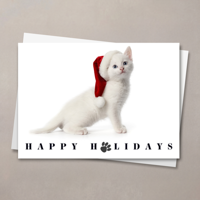 White As Snow Cat Holiday Card
