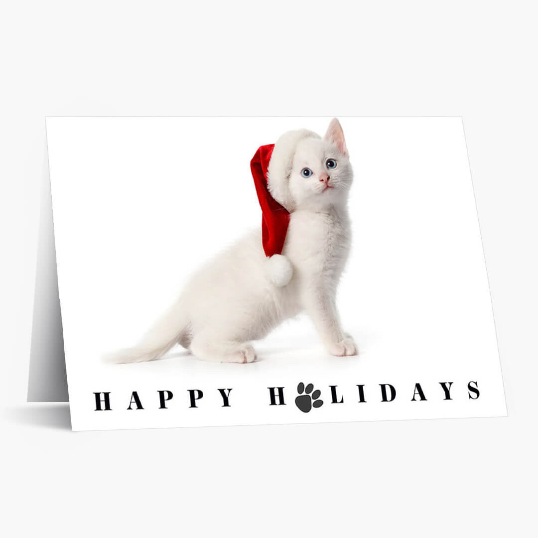 White As Snow Cat Holiday Card