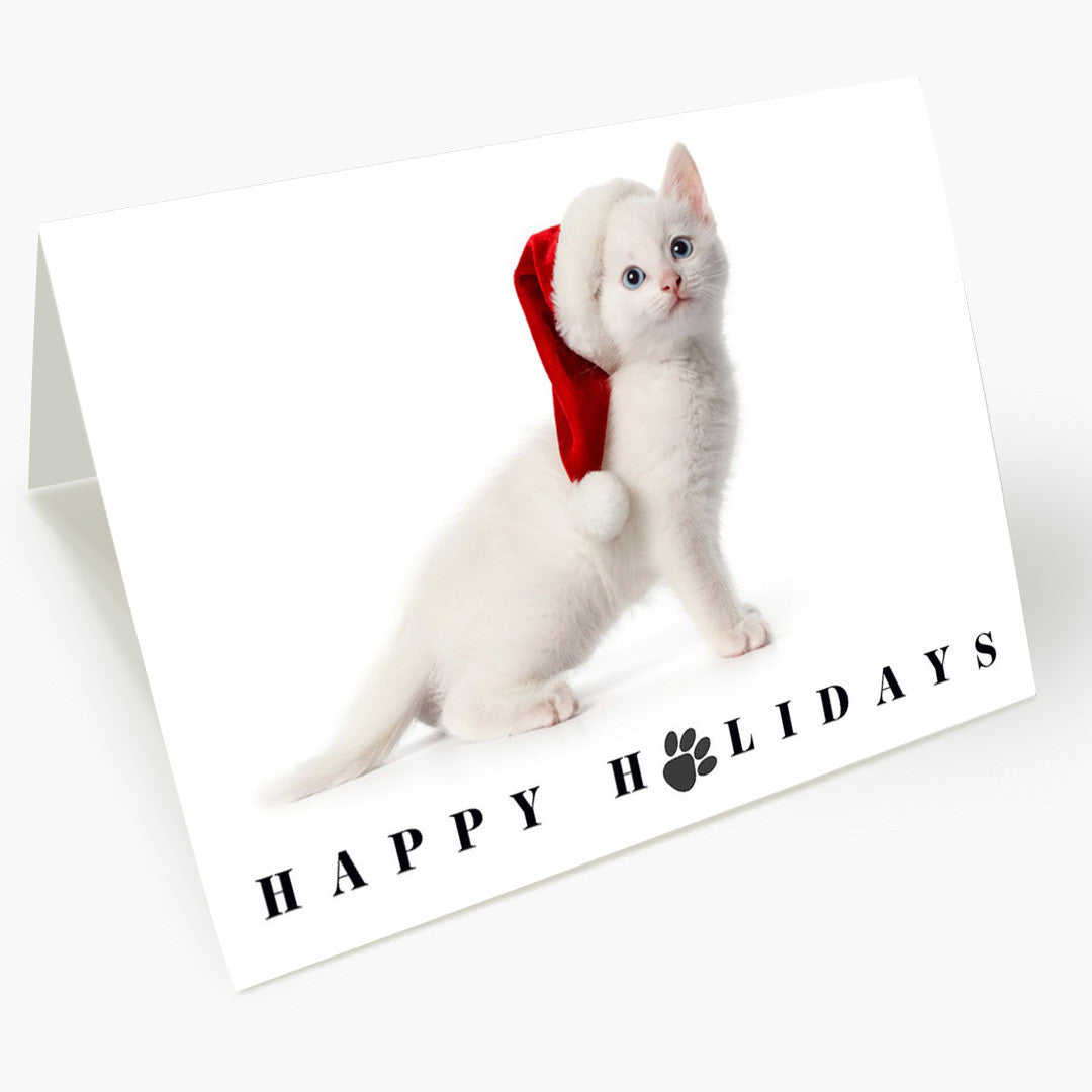 White As Snow Cat Holiday Card