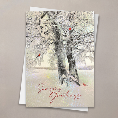 Winter Stillness